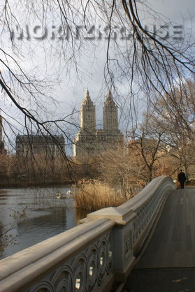 Central Park Bow Bridge